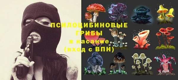 мдпв Горняк