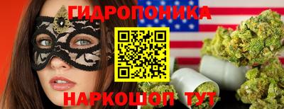 СК Кимры