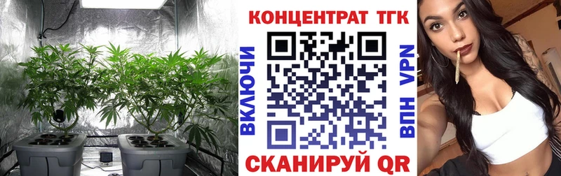 ТГК Wax  Наро-Фоминск 
