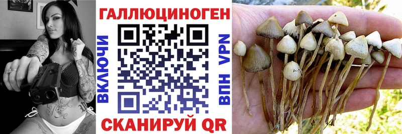 Псилоцибиновые грибы мухоморы  Наро-Фоминск 