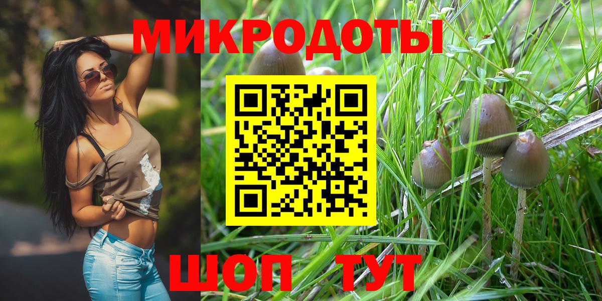 Галлюциногенные грибы Psilocybe  Наро-Фоминск 