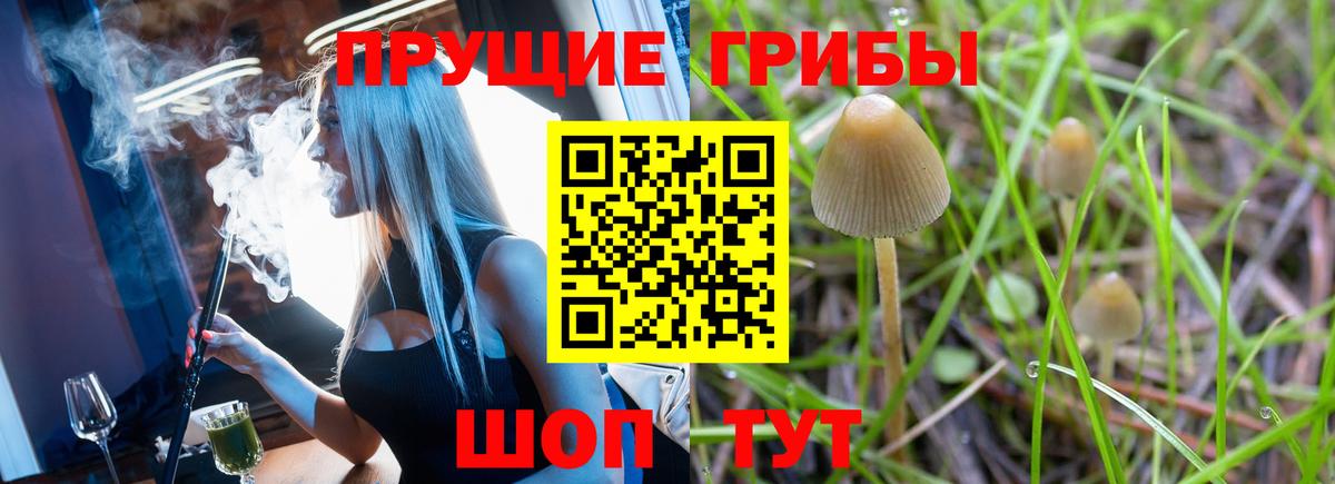 Псилоцибиновые грибы GOLDEN TEACHER  Псилоцибиновые грибы ЛСД  Вход с VPN  Наро-Фоминск 